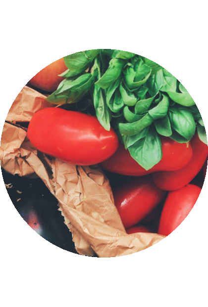 Tomates 4